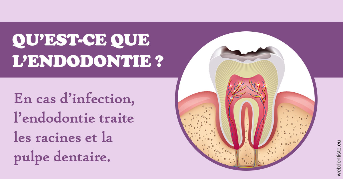 https://lavilla-aix.fr/2024 T1 - Endodontie 02