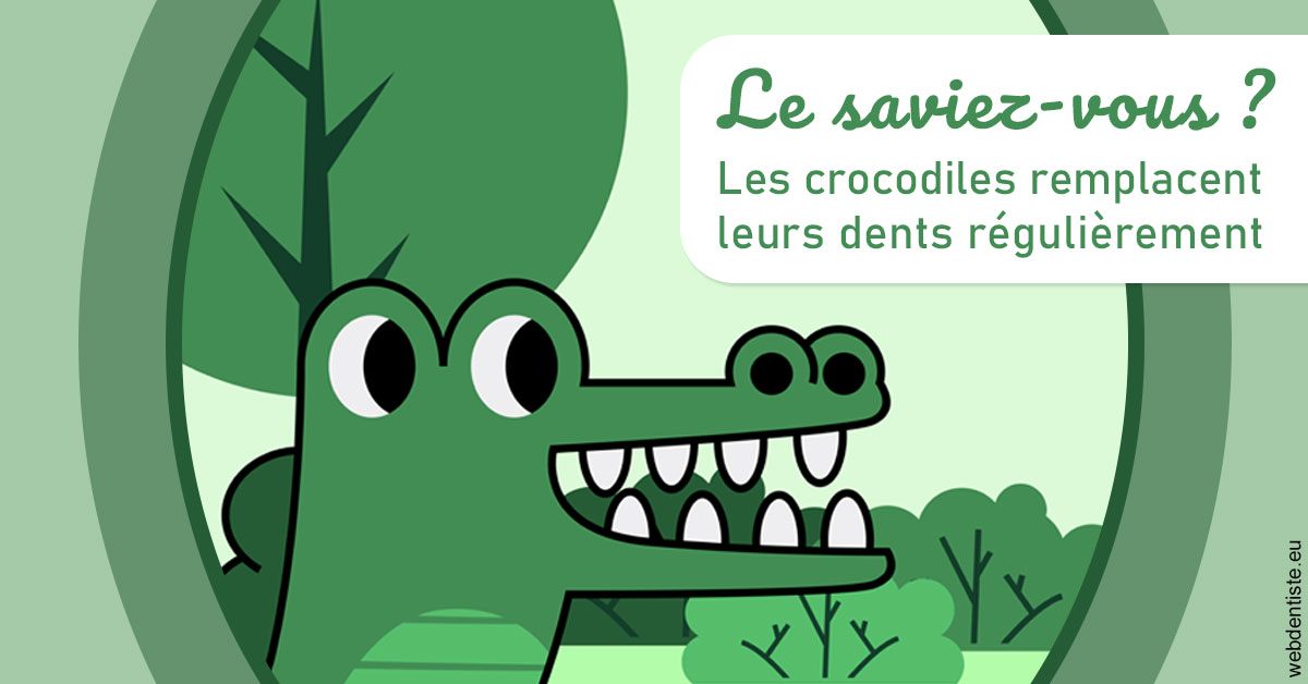 https://lavilla-aix.fr/Crocodiles 2