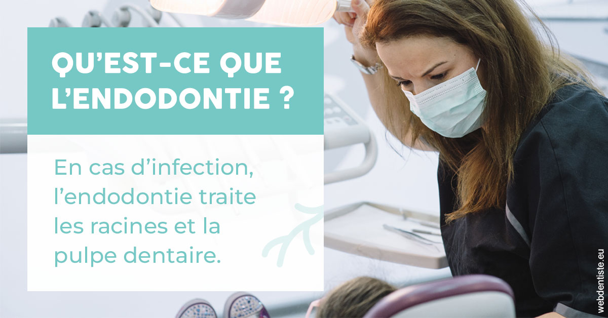 https://lavilla-aix.fr/2024 T1 - Endodontie 01
